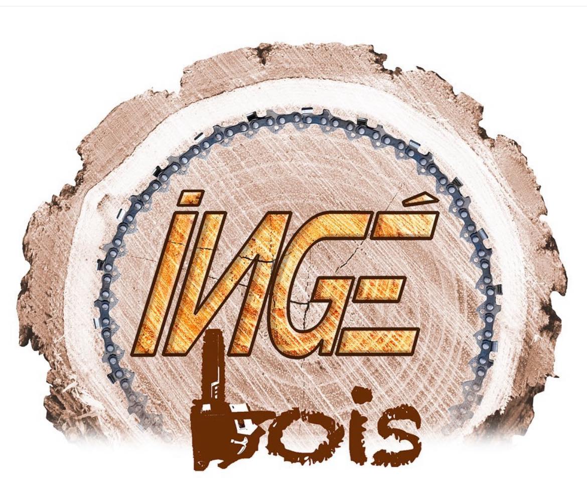 Logo Ingé Bois 68